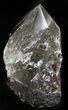Polished Smoky Quartz Crystal Point - Brazil #34759-3